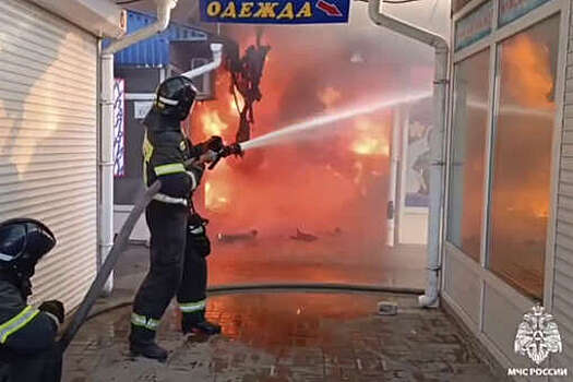 МЧС РФ: торговая палатка загорелась на рынке в Геническе