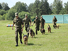 Военные кинологи 470-го учебного центра служебного собаководства стали абсолютными лидерами всеармейского конкурса «Верный друг»