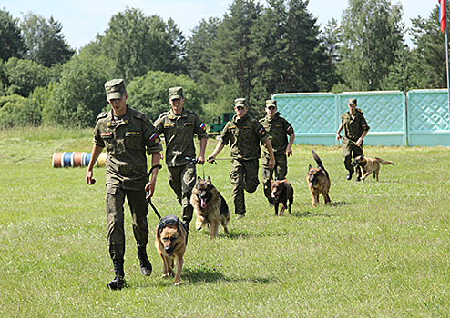 Военные кинологи 470-го учебного центра служебного собаководства стали абсолютными лидерами всеармейского конкурса «Верный друг»