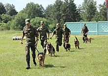 Военные кинологи 470-го учебного центра служебного собаководства стали абсолютными лидерами всеармейского конкурса «Верный друг»