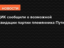 В ЦИК сообщили о возможной ликвидации партии племянника Путина