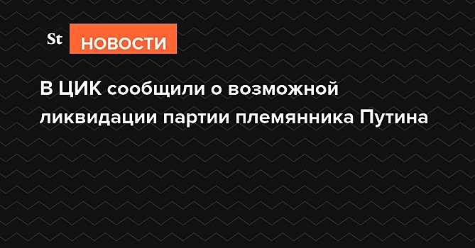 В ЦИК сообщили о возможной ликвидации партии племянника Путина