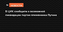 В ЦИК сообщили о возможной ликвидации партии племянника Путина