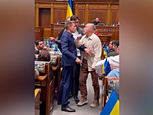 На заседании Верховной рады порвали штаны депутату Гончаренко