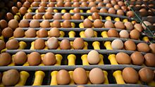 В ЦБ рассказали, как рост цен на яйца мог повлиять на инфляционные ожидания