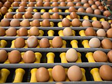 В ЦБ рассказали, как рост цен на яйца мог повлиять на инфляционные ожидания