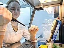 В России открыли молекулу, которая может защитить от сепсиса