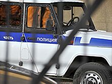 Школьница отбилась от попытавшегося украсть ее мужчины