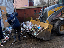 Не подснежники, а мусор