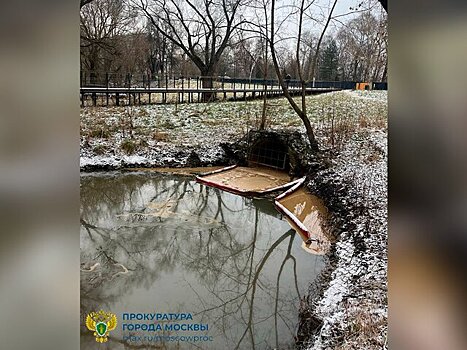 Прокуратура начала проверку после загрязнения Яузы