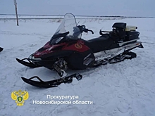 Срок за кабана получили охотники с квардрокоптером в Татарске