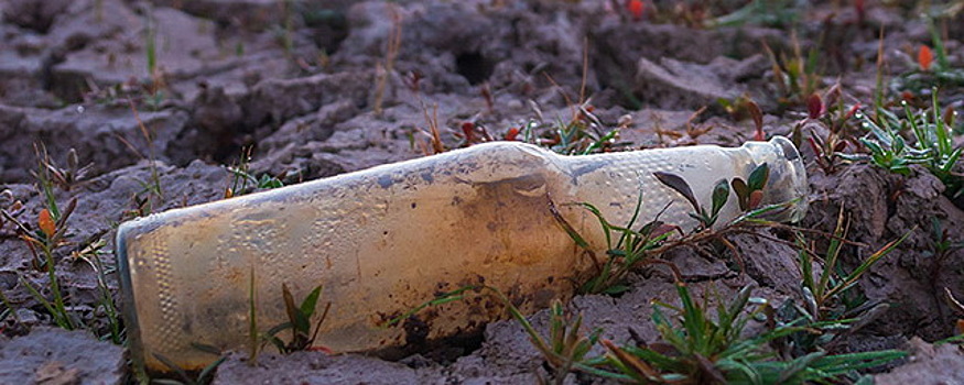 Стеклянные бутылки опаснее пластиковых? Новые проблемы экологии