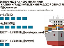 В Калининградской области предложили ввести единый тариф на морские перевозки