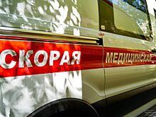 В Екатеринбурге аутсорсинг для скорой возглавит блогер Скоровозов