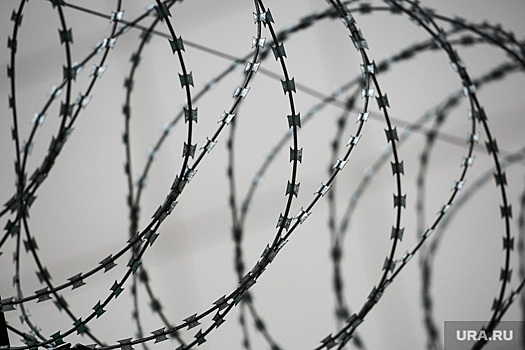 Юрист раскрыл, какое наказание грозит за пощечину Путину