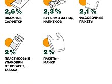 В Карелии выяснили, какие виды мусора больше всего загрязняют природные территории
