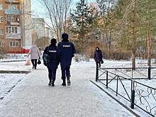 В Омской области уменьшат выплаты участковым и введут доплаты полицейским линейного управления