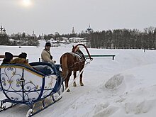 Перечислены самые популярные новогодние направления