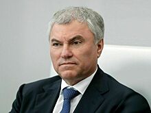 Блестящая база для осознания происходящего: лидеры фракций об ответе Володина президенту бундестага