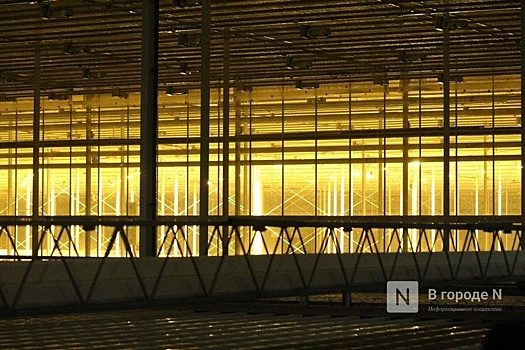 Борское «Око Саурона» получило новый штраф