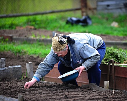В России создадут соцсеть для садоводов