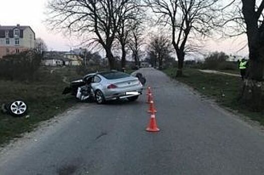 Под Зеленоградском водитель BMW получил травмы при столкновении с деревом