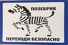 Позебрики поселились около школьных переходов в Нижнем Новгороде