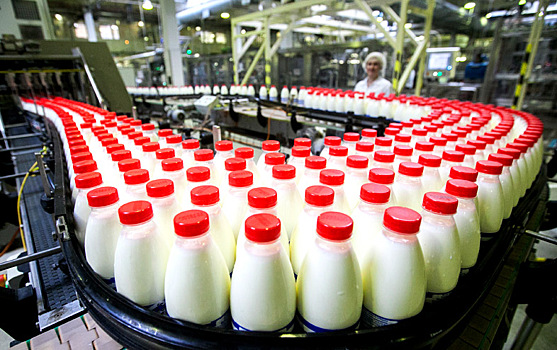 Производство молочной продукции