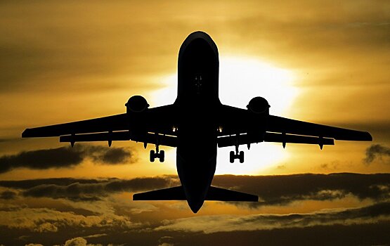 Летевший из Уфы в Краснодар самолет вернулся в аэропорт из-за попавшей в двигатель птицы