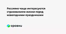 Россияне чаще интересуются страхованием жизни перед новогодними праздниками