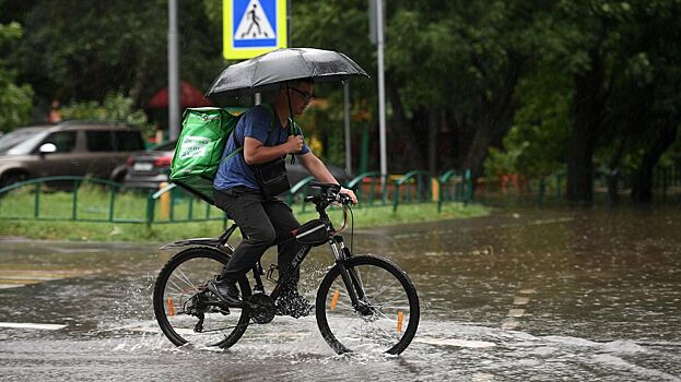 В российские регионы могут прийти «ржавые» дожди