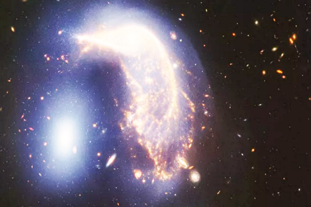 Космического пингвина с яйцом показали на фото