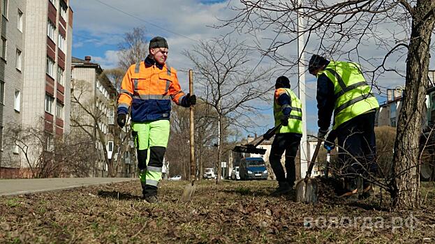 Сегодня на улице Благовещенской будет проходить комплексная уборка