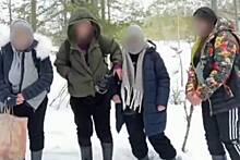 Четырех пытавшихся дойти до Финляндии иностранцев поймали в российском лесу