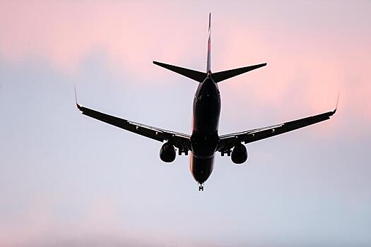 Экипажи самолетов вооружат наручниками и ремнями для нейтрализации дебоширов