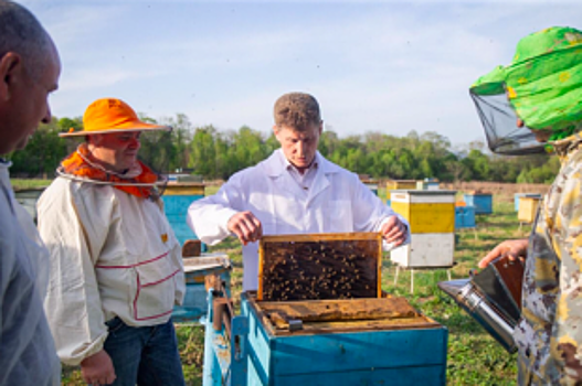 Кожемяко рассказал, что в Приморье необходимо сохранить пчеловодство