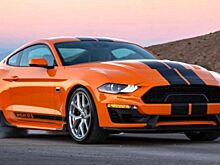 Shelby представила вариант Mustang GT-Sдля прокатного сервиса