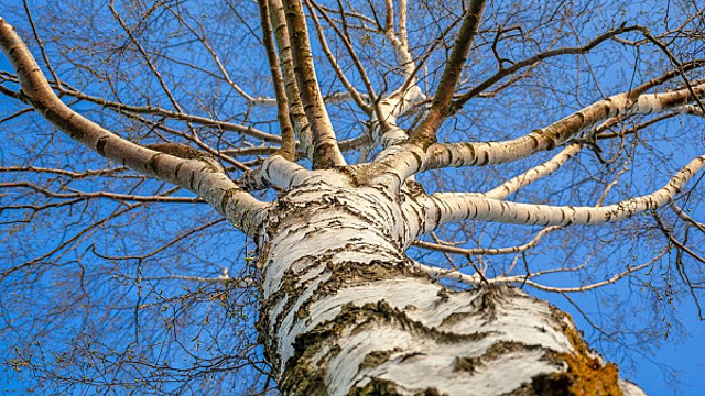 Приметы на 11 апреля 2022 года: что нельзя делать в этот день