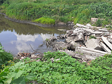 Руcло реки Оскол в Мантуровском районе Курской области завалили бетонными плитами