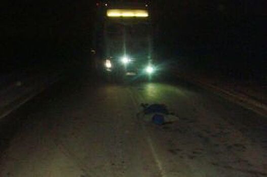 В Орловской области мужчина погиб под колёсами фуры Volvo
