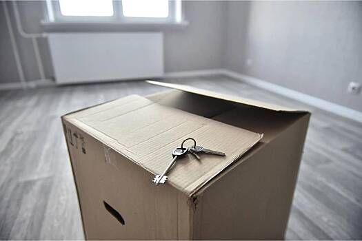 Назван возможный выход из судебной коллизии со «схемой Долиной»