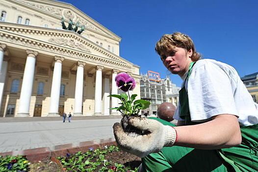 Тюльпаны для Большого