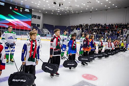 Развитие детско-юношеского спорта в Татарстане: 20 млрд рублей за пять лет