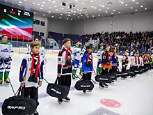 Развитие детско-юношеского спорта в Татарстане: 20 млрд рублей за пять лет