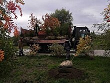 В Татарстане пройдёт экологическая акция «Сохраним лес»