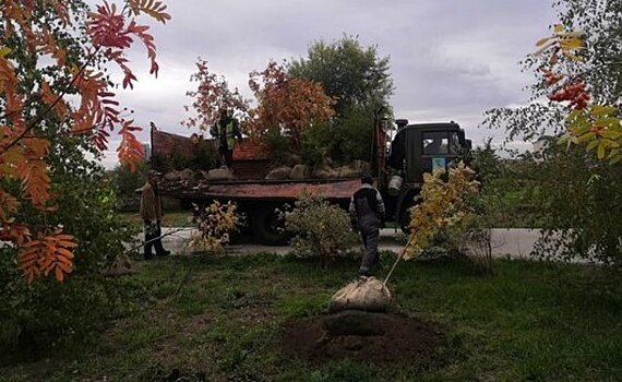 В Татарстане пройдёт экологическая акция «Сохраним лес»