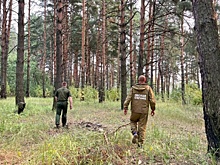 В Костромской области ввели особый противопожарный режим