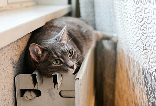 В РЭК назвали причины дороговизны омской «коммуналки»