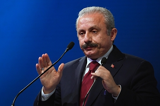 Спикер парламента Турции извинился перед Россией за поведение украинского депутата