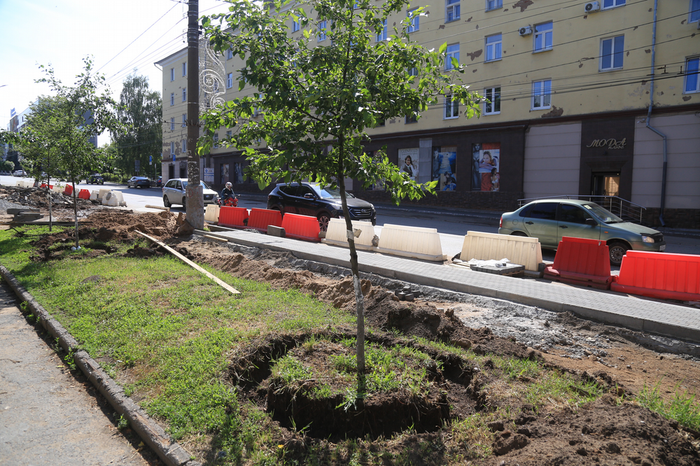 Яблони с улицы Советской пересадят на бульвар Гоголя
